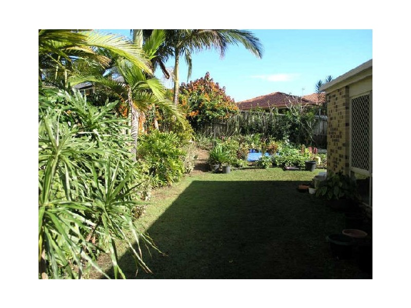 17 Water Gum Street, Elanora QLD 4221