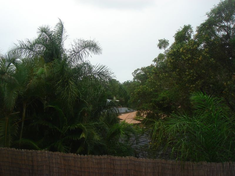 38 Jarrahdale Drive, Elanora QLD 4221