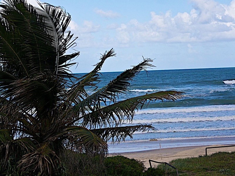 3A/1501 Gold Coast Highway, Palm Beach QLD 4221