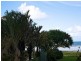3A/1501 Gold Coast Highway, Palm Beach QLD 4221