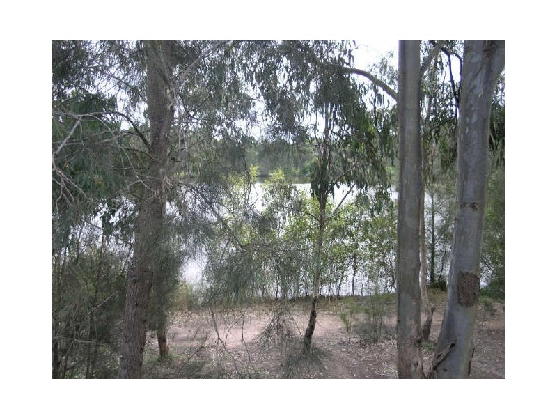 8 Ottelia Drive, Elanora QLD 4221