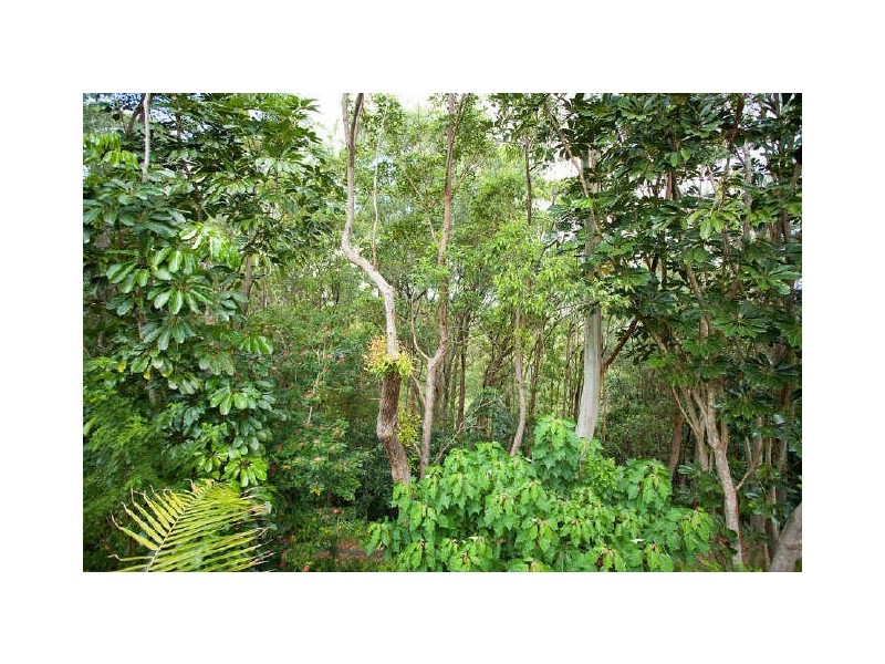 Tallebudgera Valley QLD 4228