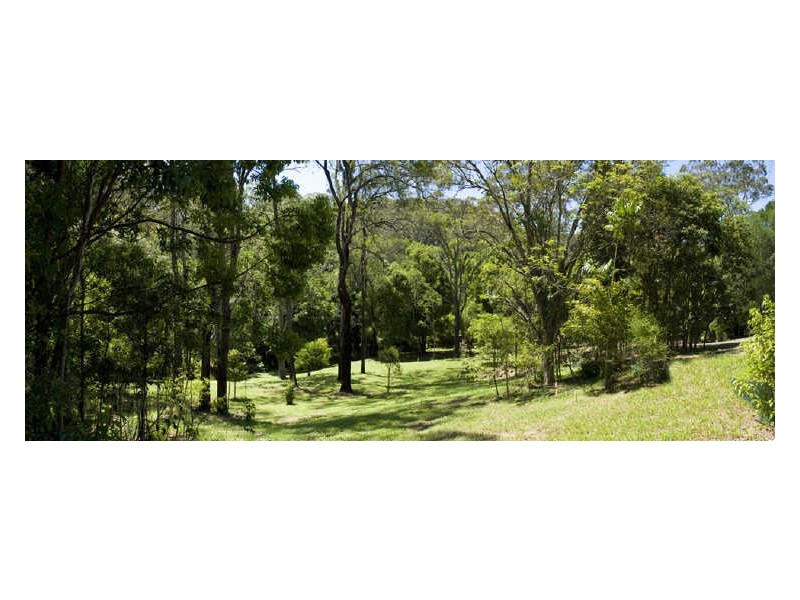 369 Currumbin Creek Road, Currumbin Waters QLD 4223