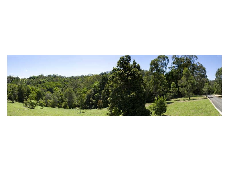 369 Currumbin Creek Road, Currumbin Waters QLD 4223