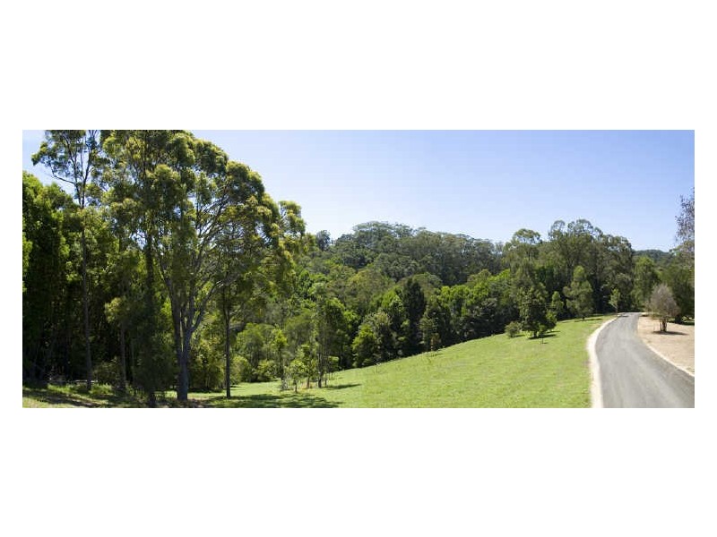 369 Currumbin Creek Road, Currumbin Waters QLD 4223
