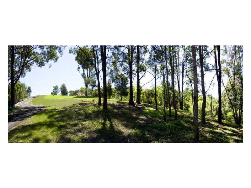 369 Currumbin Creek Road, Currumbin Waters QLD 4223