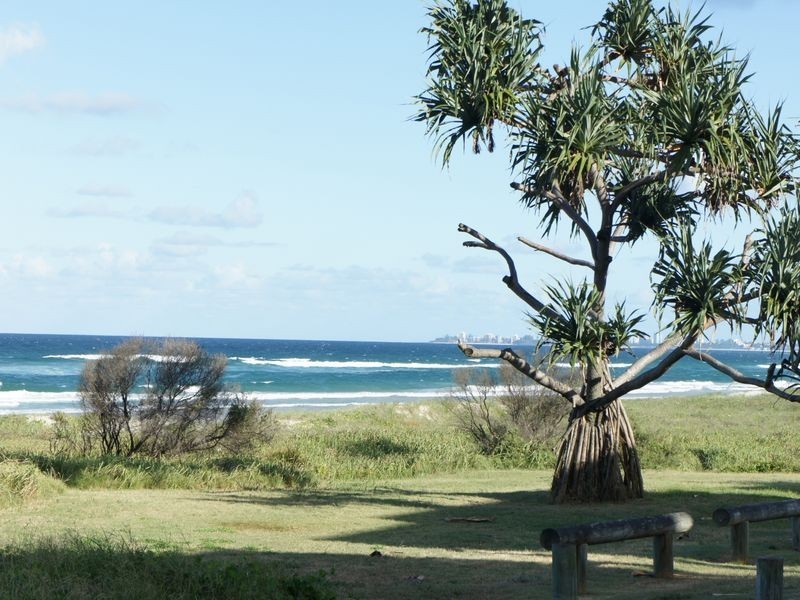 3/1479 Gold Coast Highway, Palm Beach QLD 4221