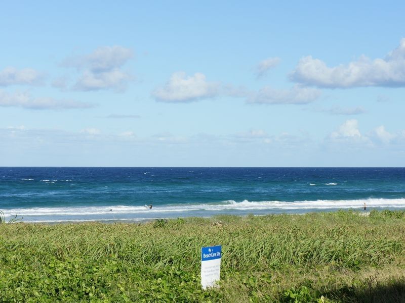 3/1479 Gold Coast Highway, Palm Beach QLD 4221