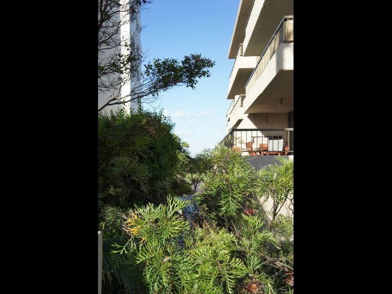 3/1479 Gold Coast Highway, Palm Beach QLD 4221