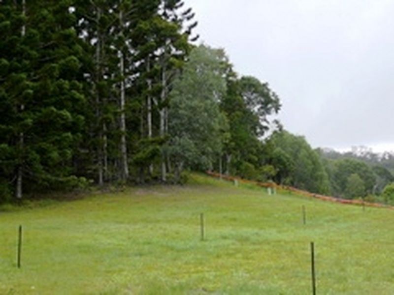 6 Mooligum Way, Currumbin Valley QLD 4223