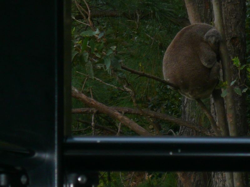 64 Doubleview Drive, Elanora QLD 4221