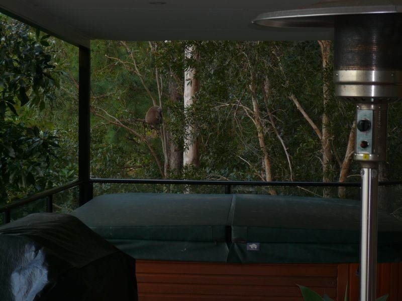 64 Doubleview Drive, Elanora QLD 4221