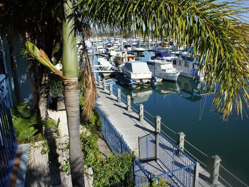 82/ John Lund Drive, Hope Island QLD 4212