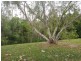 35 McKenzie Drive, Currumbin Waters QLD 4223