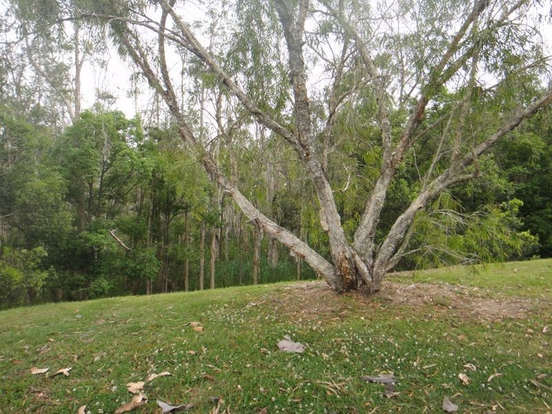 35 McKenzie Drive, Currumbin Waters QLD 4223