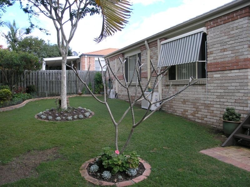 4 Hibertia Avenue, Elanora QLD 4221