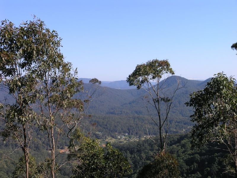 800 Trees Road, Tallebudgera Valley QLD 4228