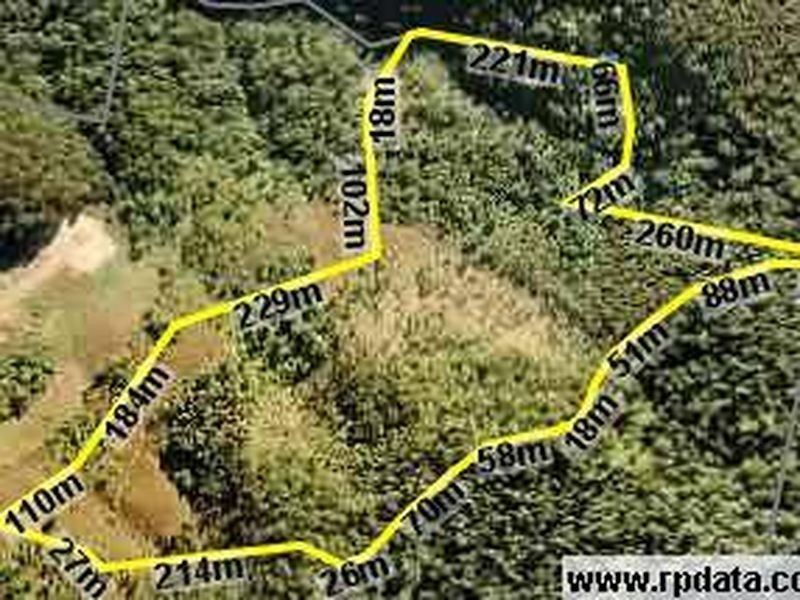 800 Trees Road, Tallebudgera Valley QLD 4228