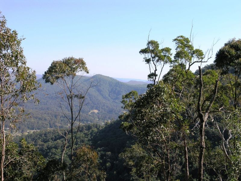 800 Trees Road, Tallebudgera Valley QLD 4228