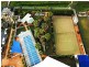 1A/2 Nineteenth Avenue, Palm Beach QLD 4221