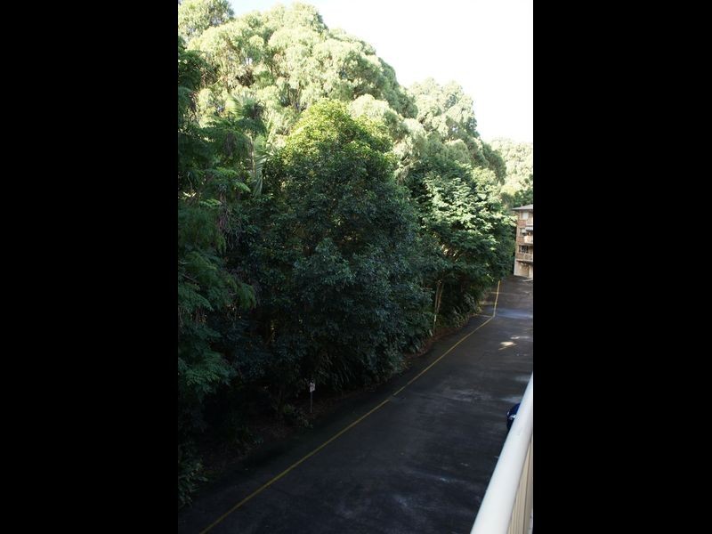 29/5 Clancy Court, Tugun QLD 4224