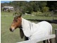 242 Syndicate Road, Tallebudgera Valley QLD 4228