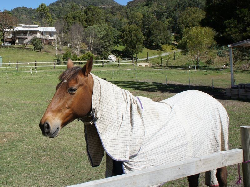 242 Syndicate Road, Tallebudgera Valley QLD 4228
