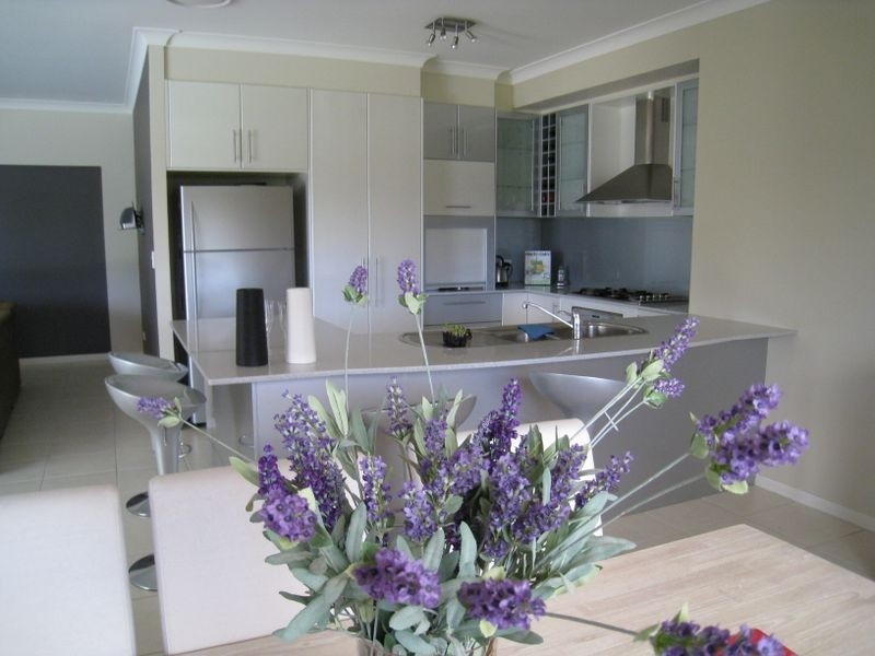 13 Tussock Court, Elanora QLD 4221