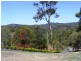 40 Goline Court, Tallebudgera QLD 4228