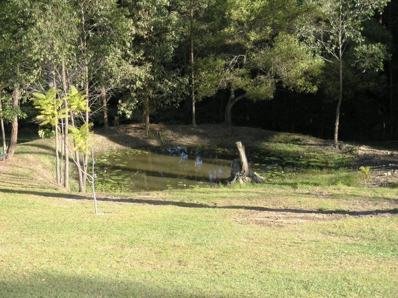 Tallebudgera Valley QLD 4228