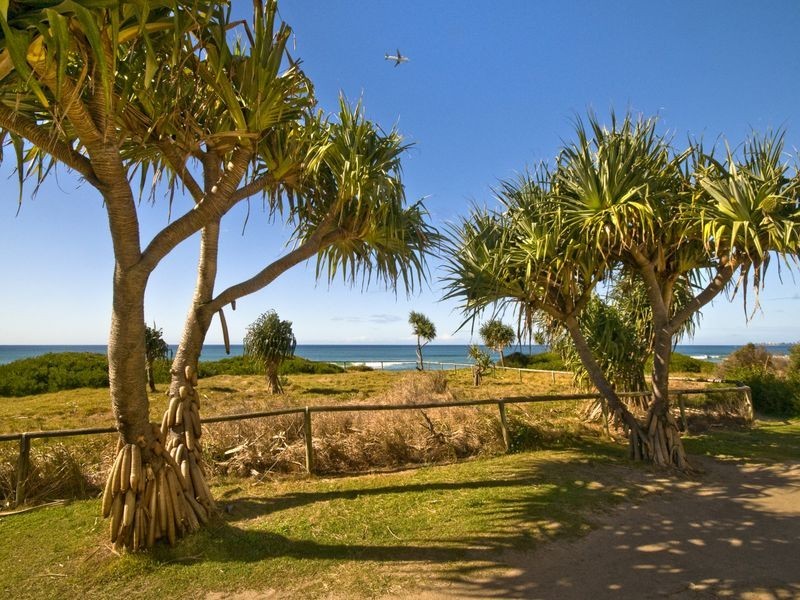 401/1483 Gold Coast Highway, Palm Beach QLD 4221