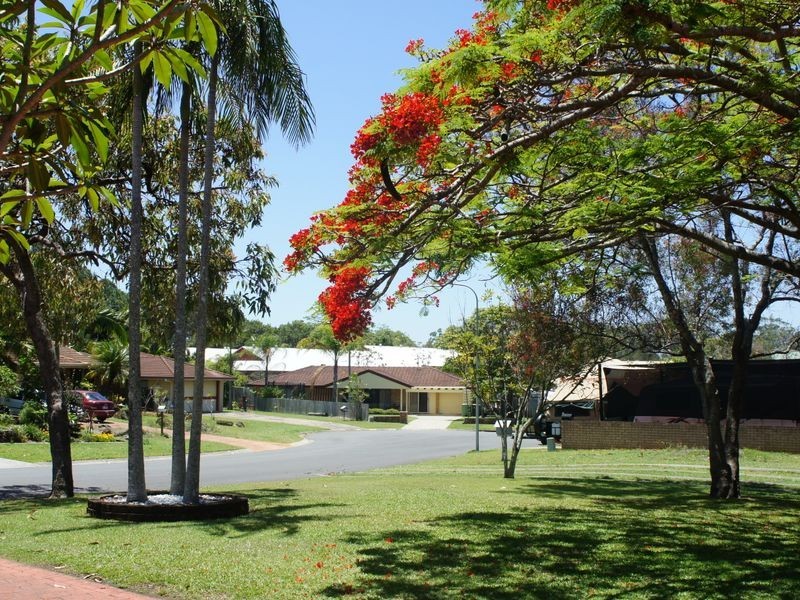 11 Dianella Court, Elanora QLD 4221