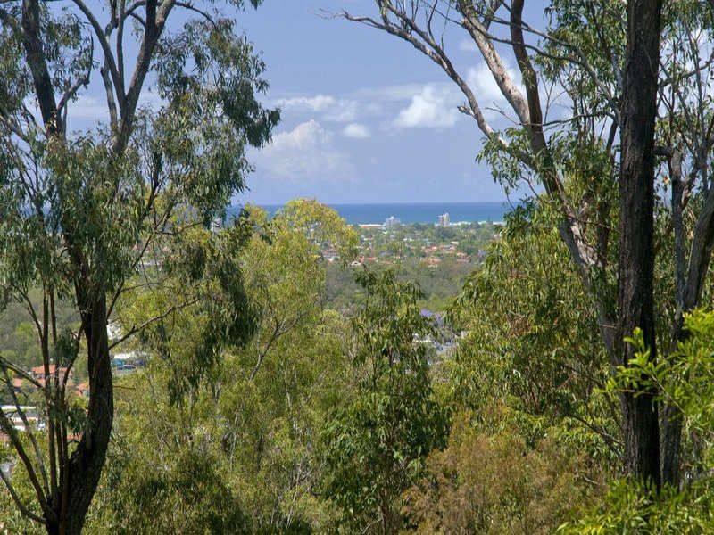 6 Dulcie Drive, Burleigh Heads QLD 4220