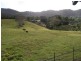 1206 Currumbin Creek Road, Currumbin Valley QLD 4223
