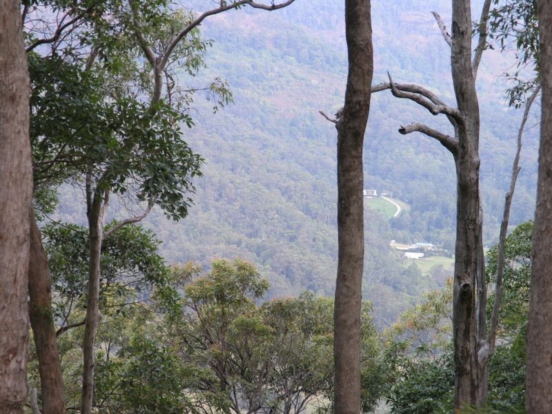 860 Tallebudgera Creek Road, Tallebudgera Valley QLD 4228