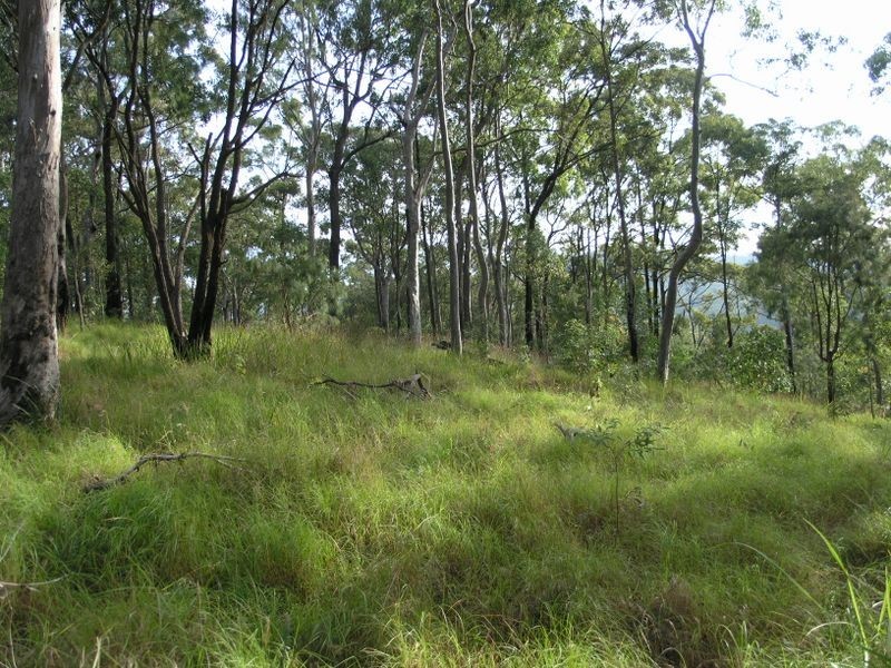 860 Tallebudgera Creek Road, Tallebudgera Valley QLD 4228