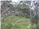 860 Tallebudgera Creek Road, Tallebudgera Valley QLD 4228