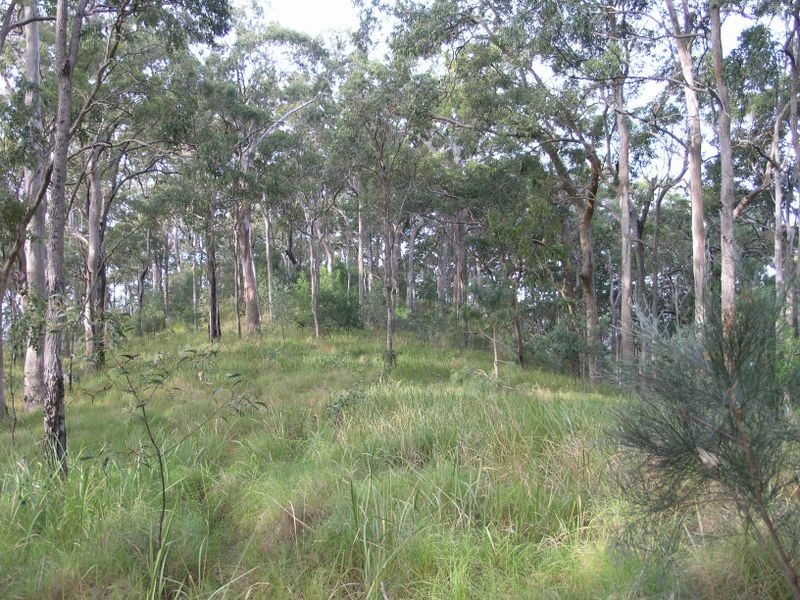 860 Tallebudgera Creek Road, Tallebudgera Valley QLD 4228