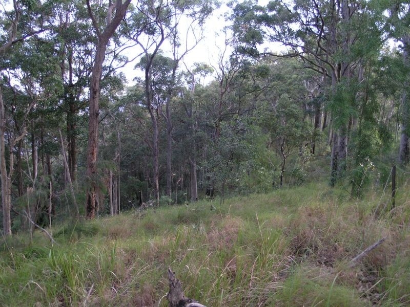 860 Tallebudgera Creek Road, Tallebudgera Valley QLD 4228