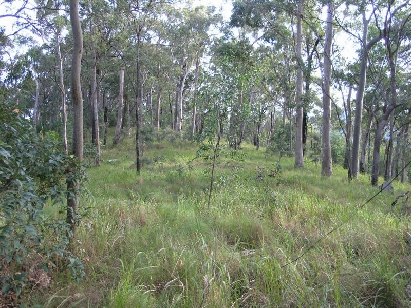 860 Tallebudgera Creek Road, Tallebudgera Valley QLD 4228