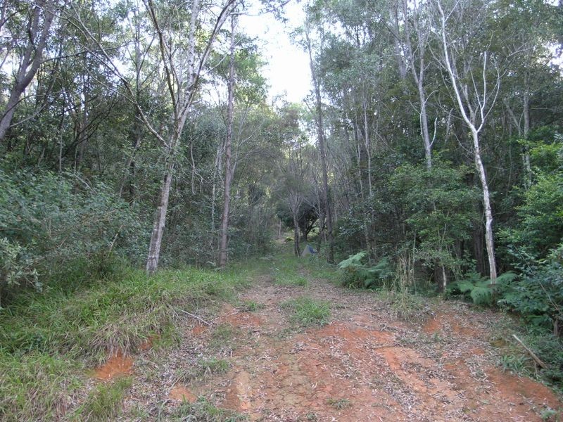 860 Tallebudgera Creek Road, Tallebudgera Valley QLD 4228