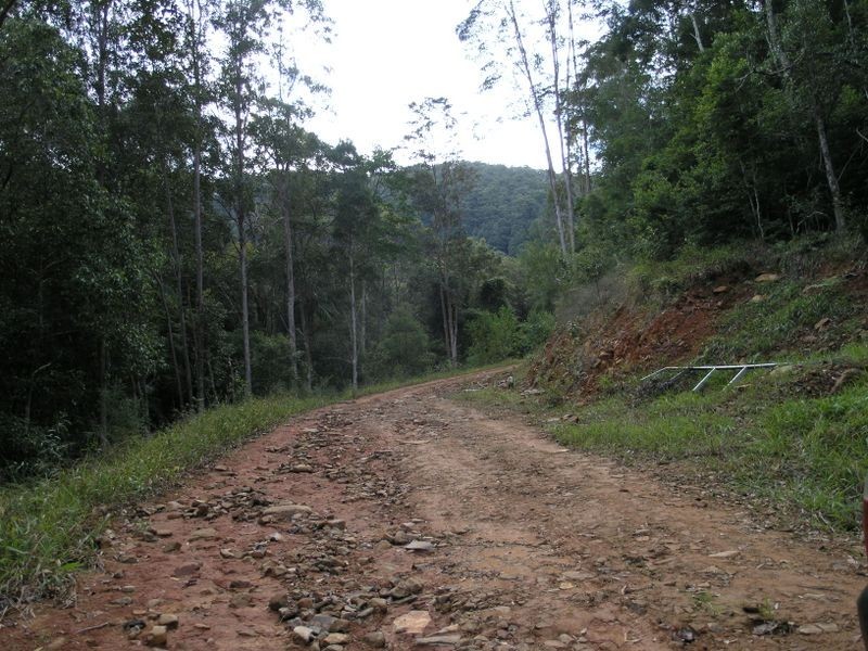 860 Tallebudgera Creek Road, Tallebudgera Valley QLD 4228