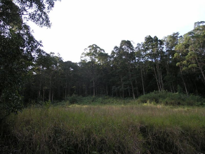 860 Tallebudgera Creek Road, Tallebudgera Valley QLD 4228