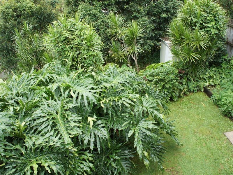 1/12 Daisy Street, Elanora QLD 4221