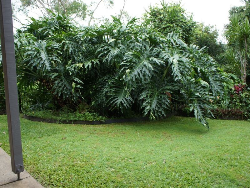 1/12 Daisy Street, Elanora QLD 4221