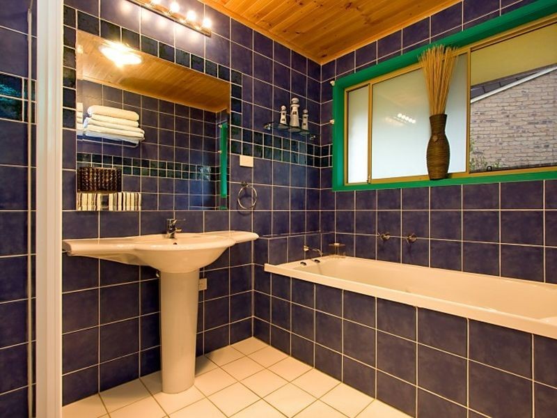 15 Blackbean Court, Elanora QLD 4221