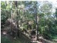 23 Panorama Drive, Currumbin QLD 4223