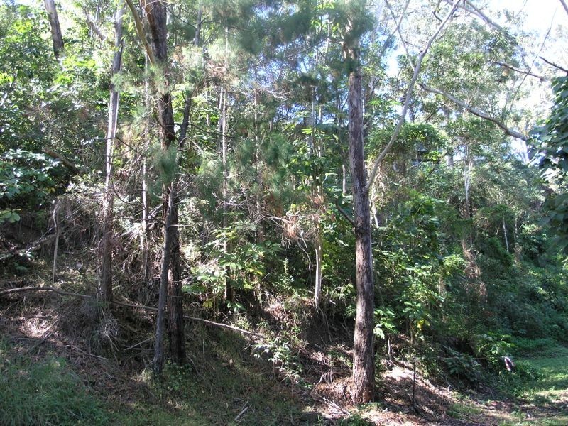 23 Panorama Drive, Currumbin QLD 4223