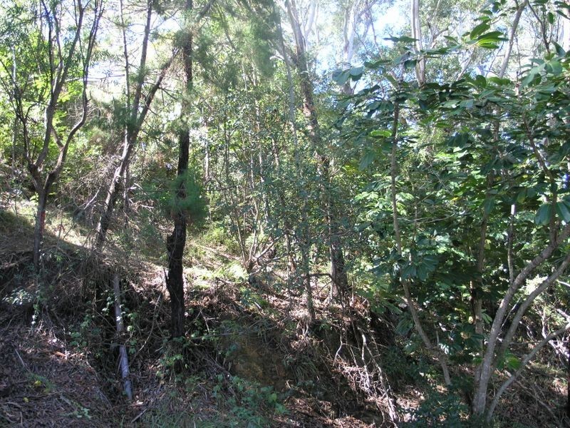 23 Panorama Drive, Currumbin QLD 4223