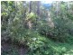 23 Panorama Drive, Currumbin QLD 4223